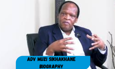 adv muzi sikhakhane biography